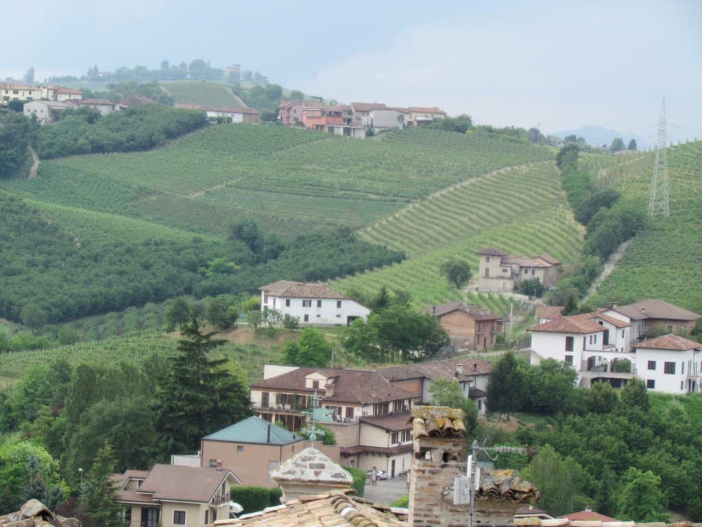 Artistic Wine Labels