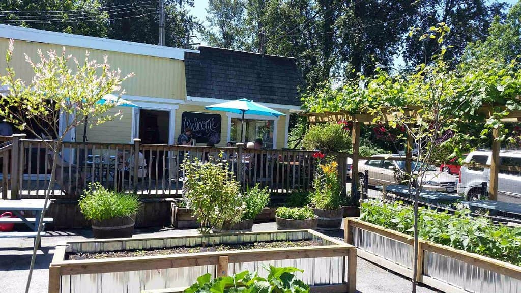 Handmade Italian Pasta Perfection