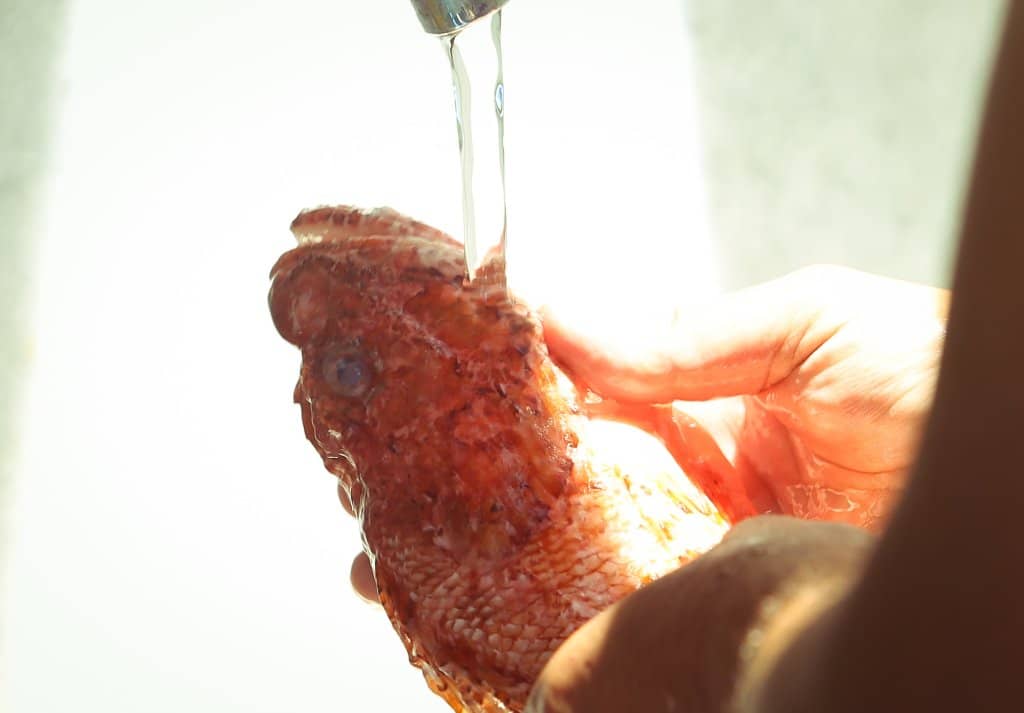 Authentic Local Delicacies