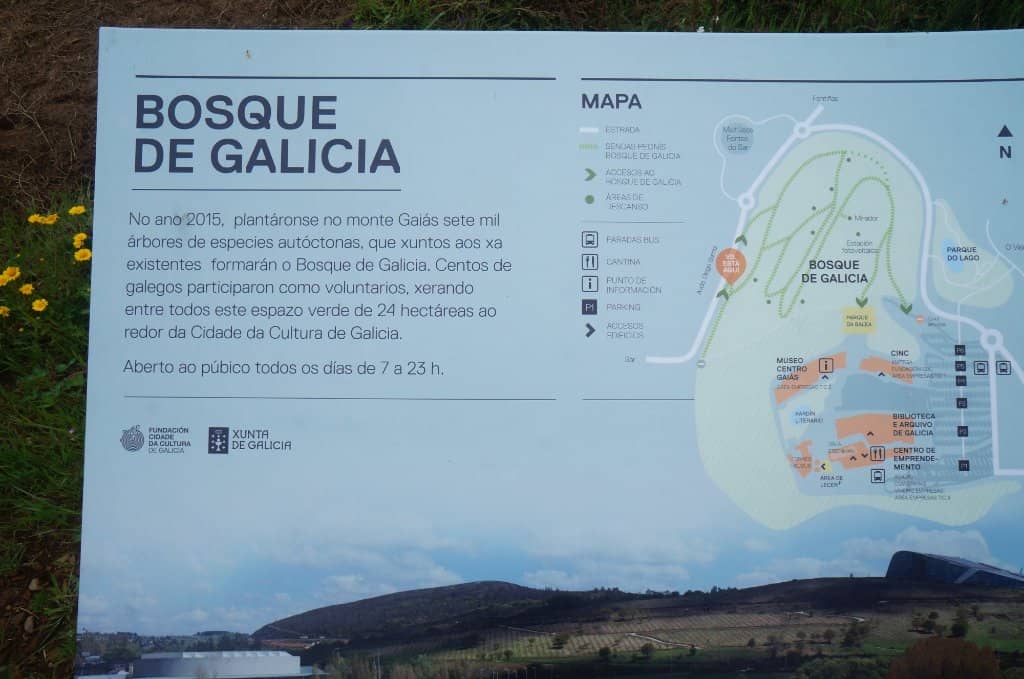 Panoramic City Views