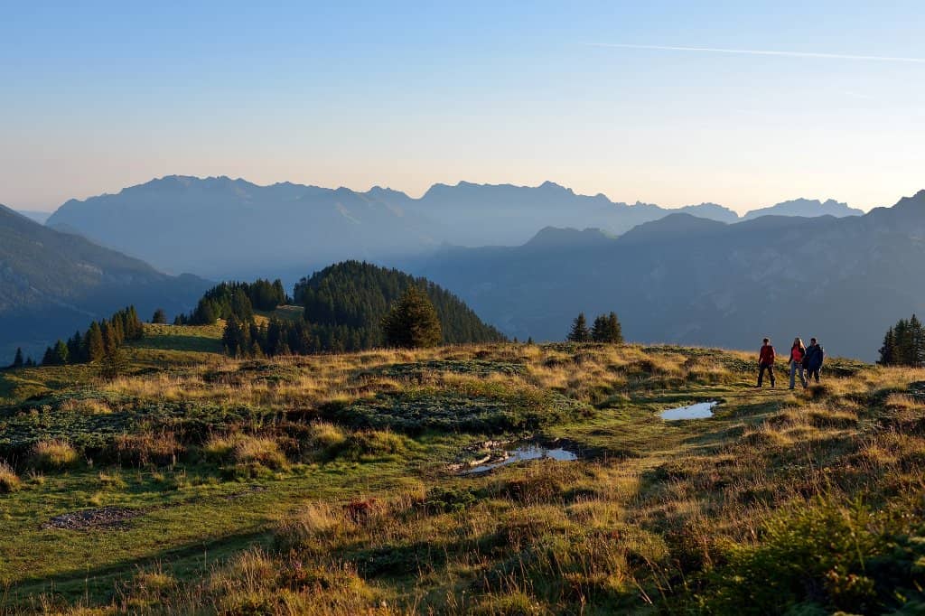 Dual Cable Car Experience