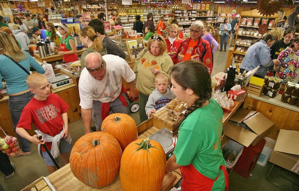 Pumpkin Patch