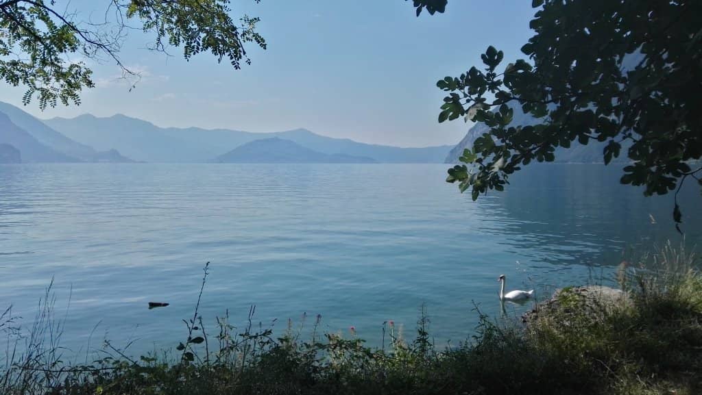Lakeside Serenity
