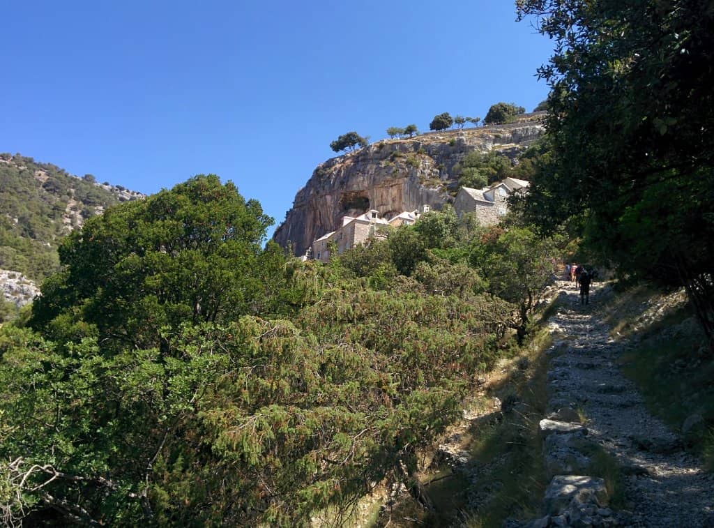 Olive Oil & Grappa Tasting