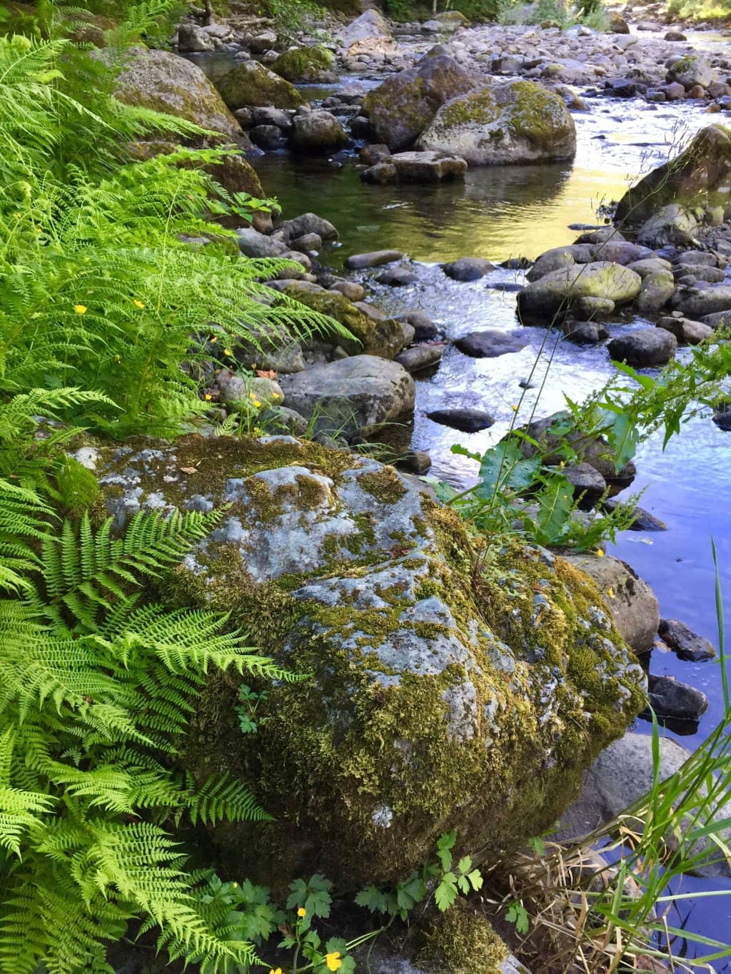 Weeks Falls Trail