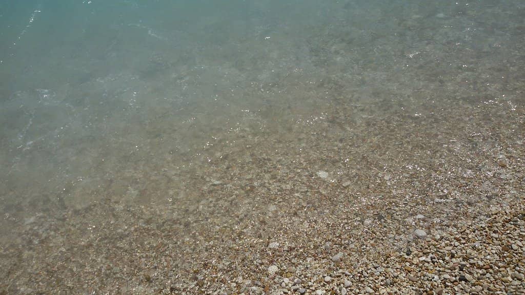 Pebble and Sand Beaches