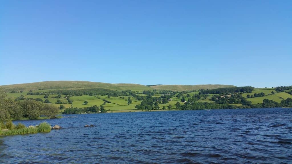 Teggie the Monster Legend