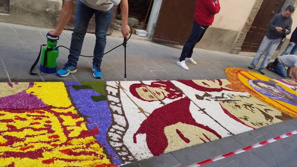 Flower-Draped Alleys
