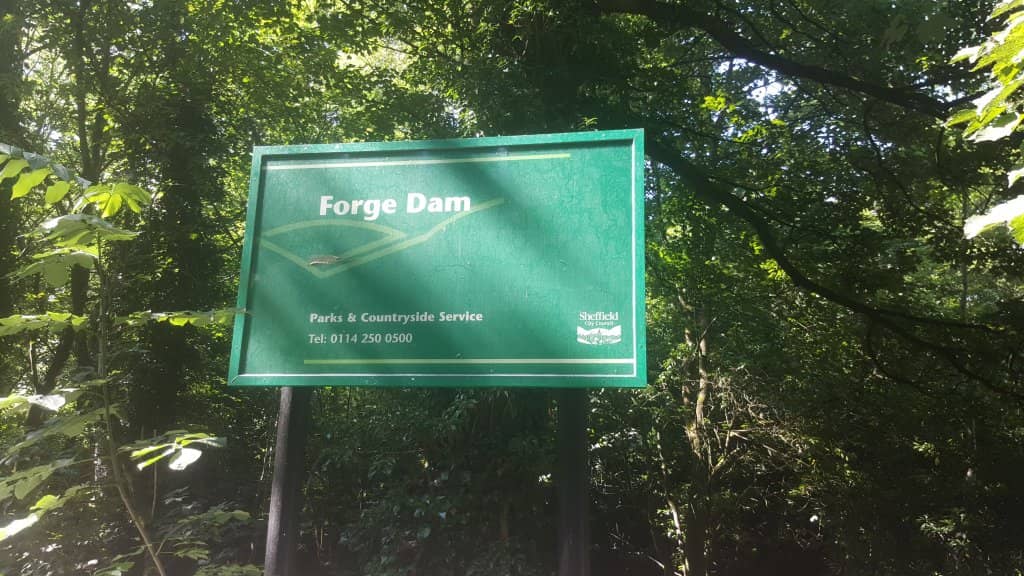 Forge Dam Pond