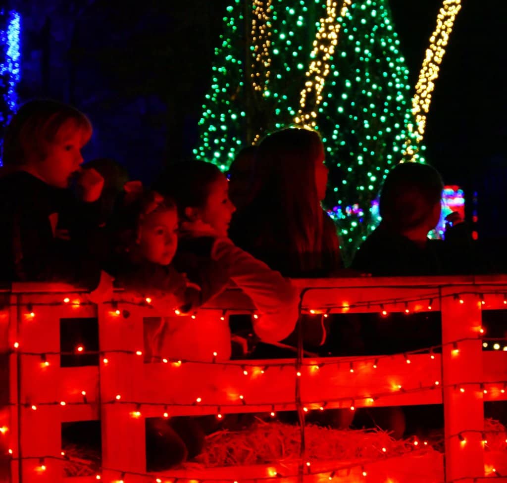 Kid-Friendly Attractions