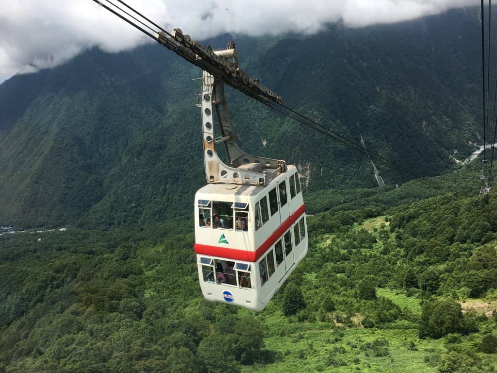 Autumn Foliage Spectacle