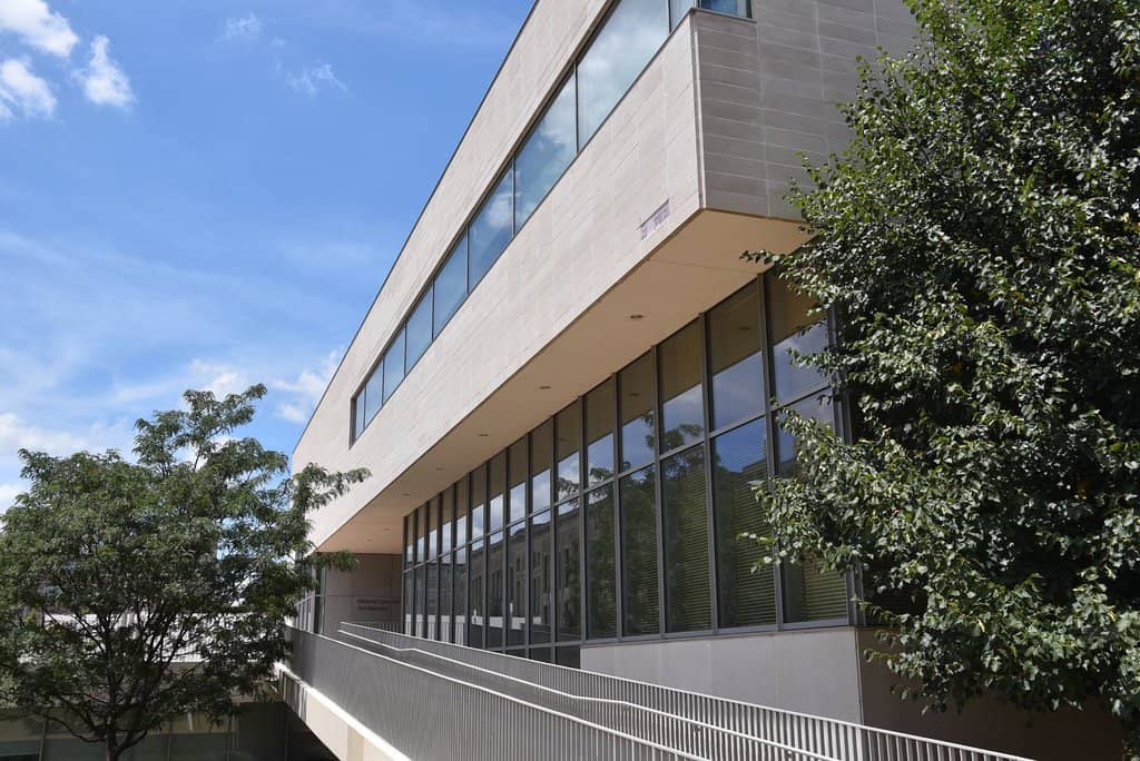 De Kooning Collection