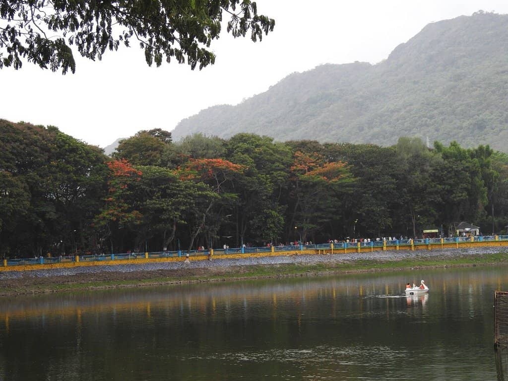 Water and Light Show