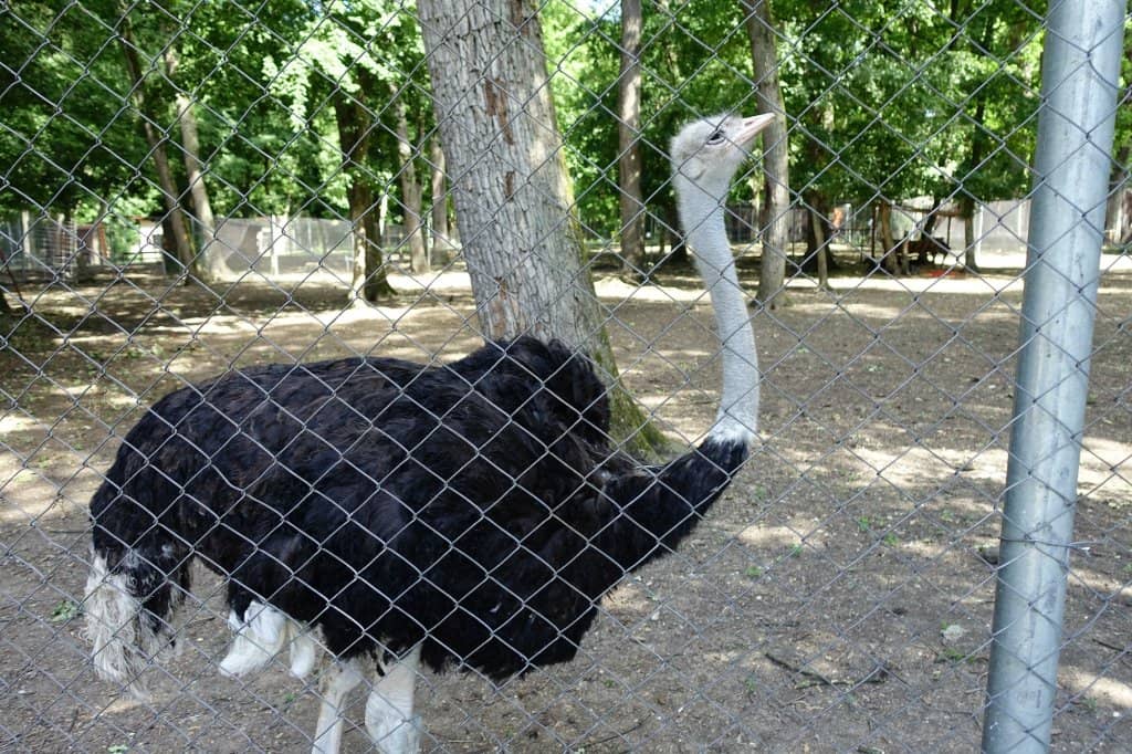 Family-Friendly Atmosphere