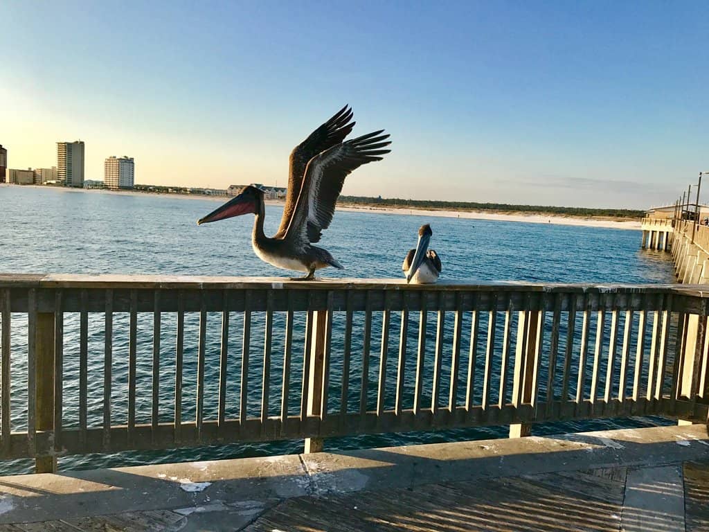 Scenic Views & Relaxation