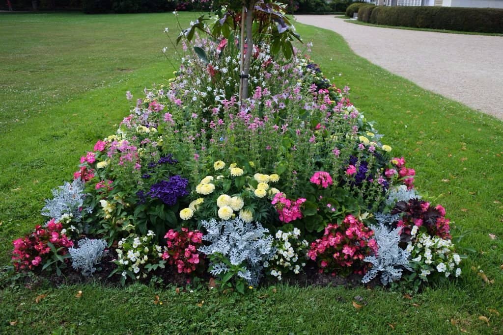 Children's Play Area