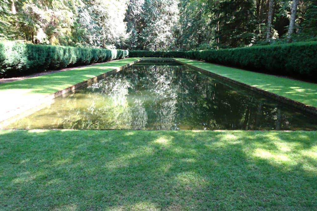 Reflection Pool