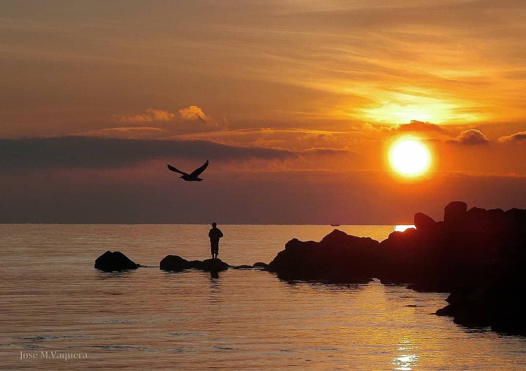 Beachfront Dining & Picnics