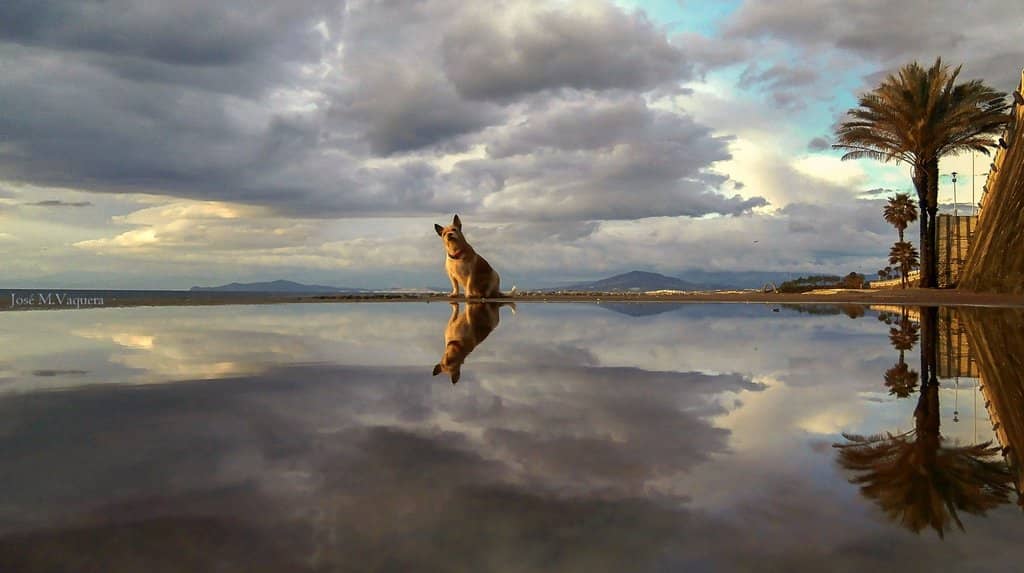 Summer Water Sports Fun