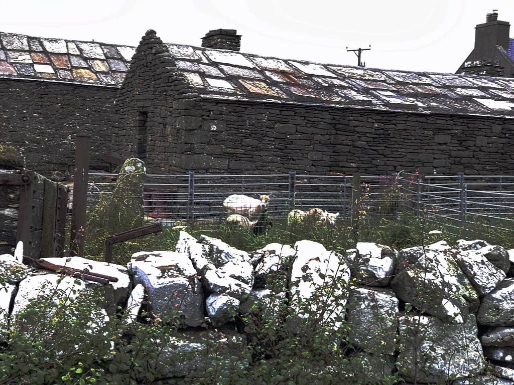 Traditional Farming Implements