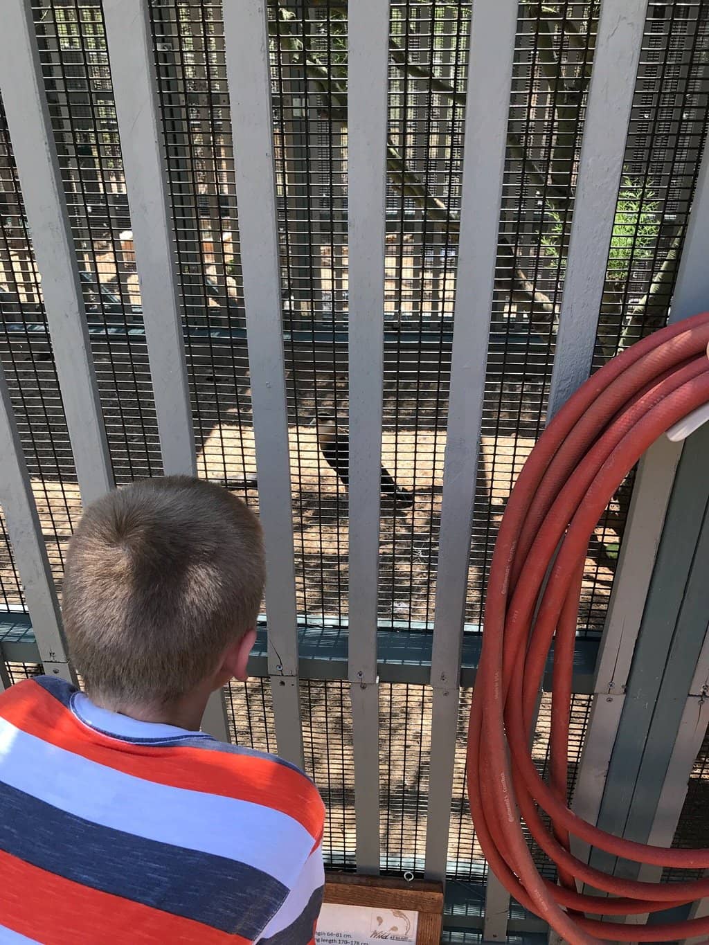 Witness Rehabilitation