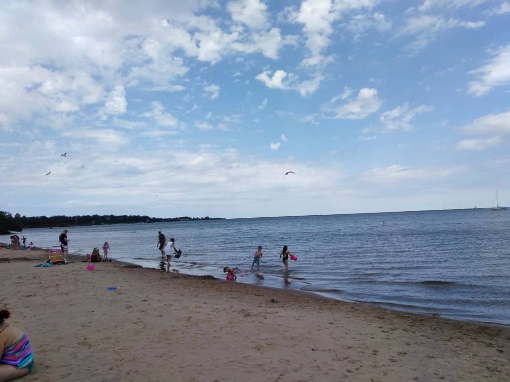 HarborFest Celebration