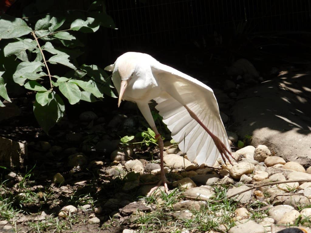 Roanoke Valley Views
