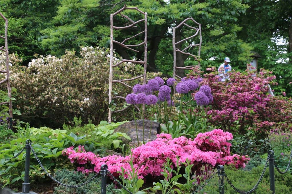 Heather Garden