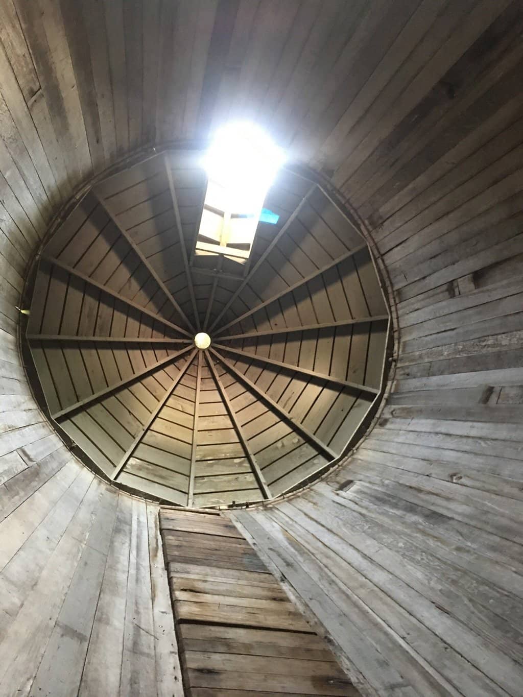 Vertical photo