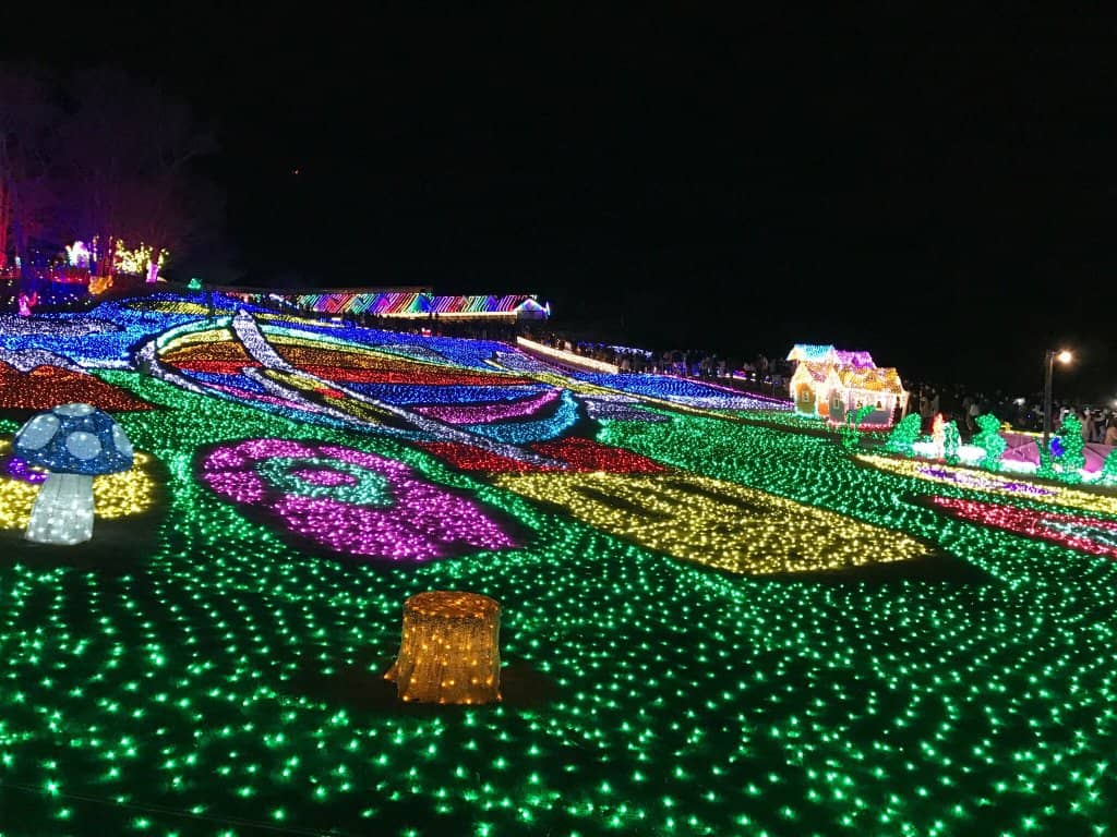 Winter Illumination