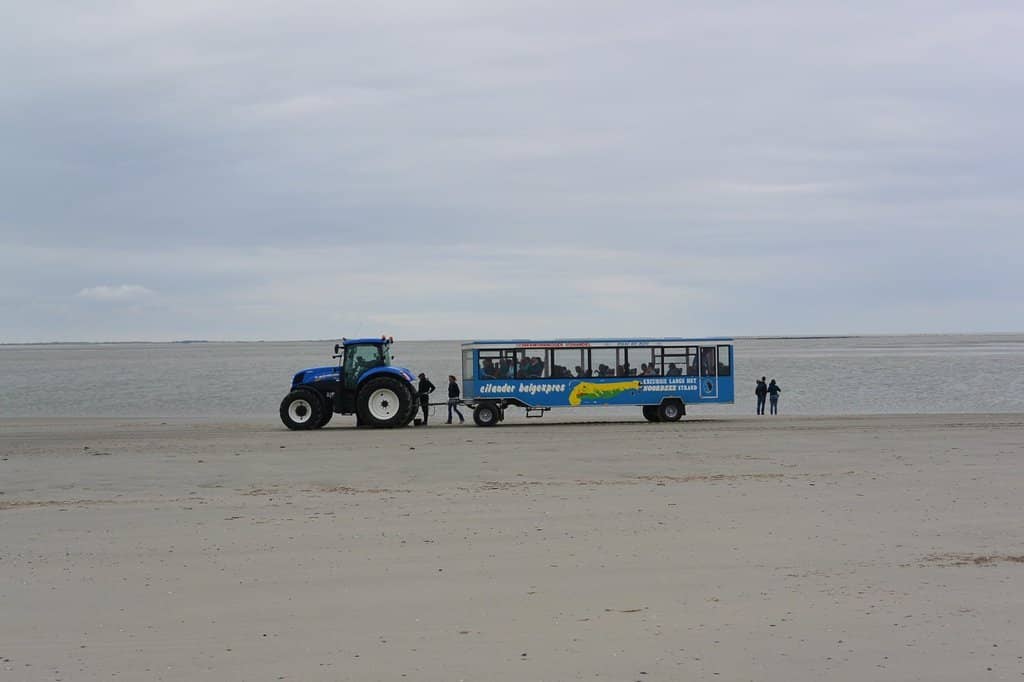 The Serene Beach Experience