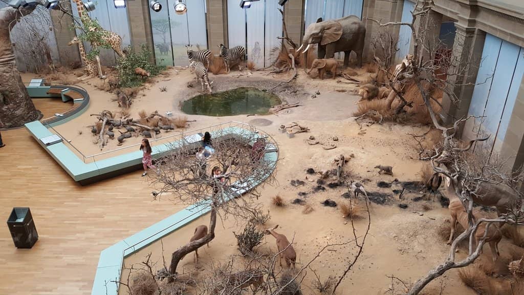 Interactive Displays