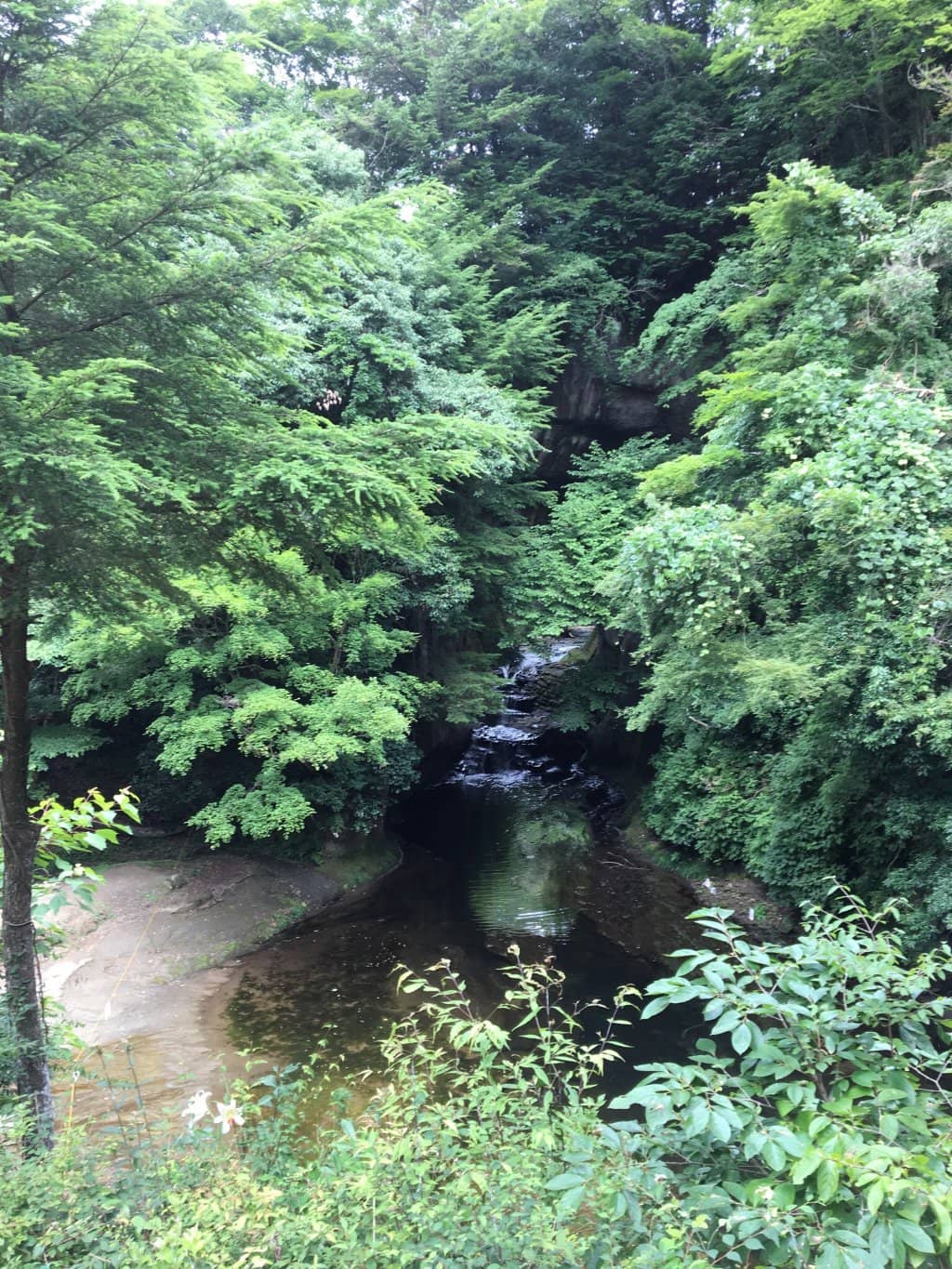Vertical photo