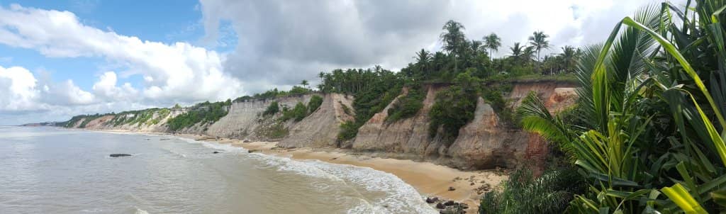 Highlights