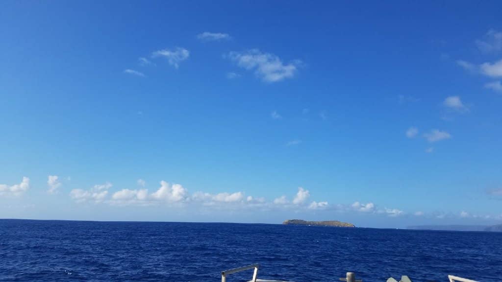 Abundant Marine Life