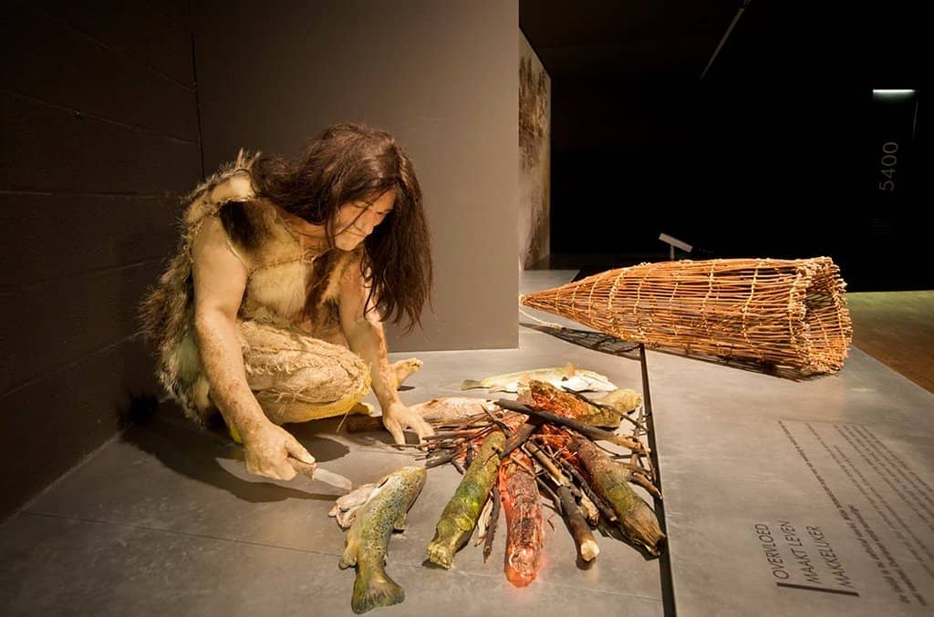 Interactive History
