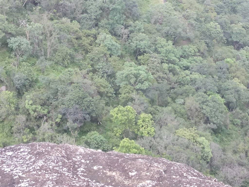 Watchtower Views