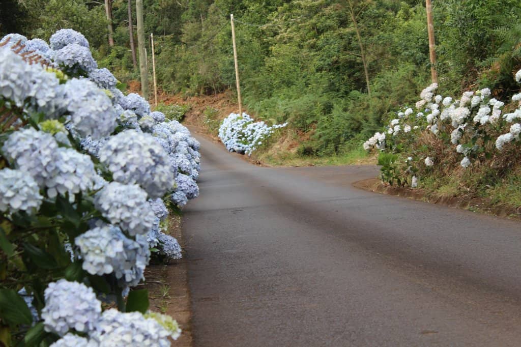 Levada do Caldeirão Verde