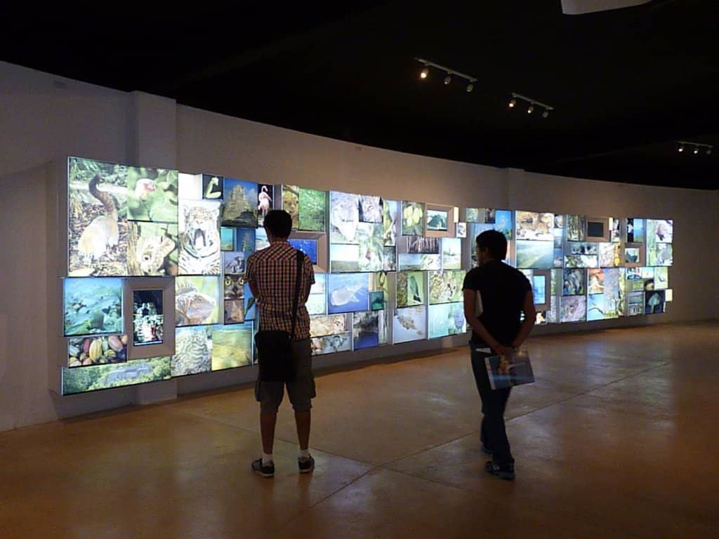 Interactive Science Museum