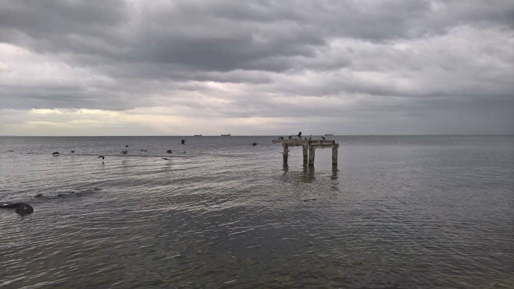 Coastal Park Views