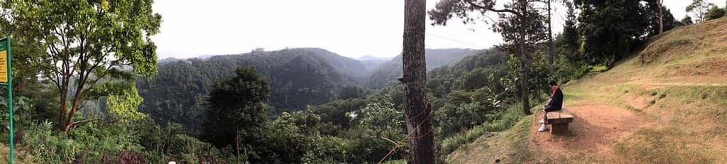 Budget-Friendly Local Delicacies