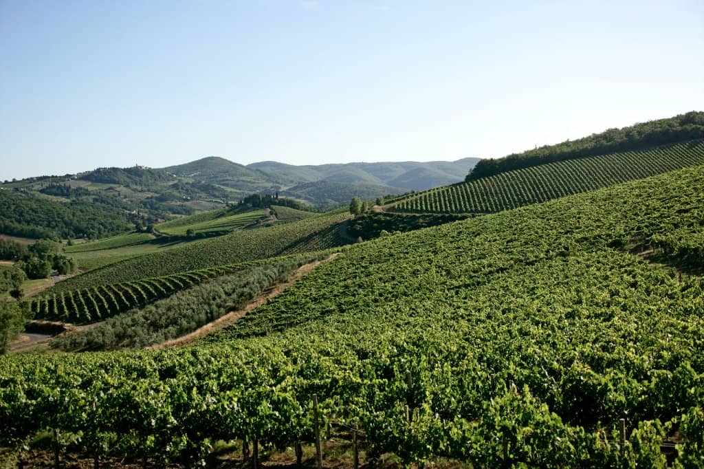 Authentic Tuscan Lunch