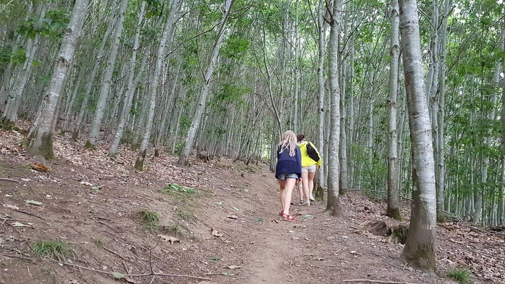The Giant's Tomb Viewpoint