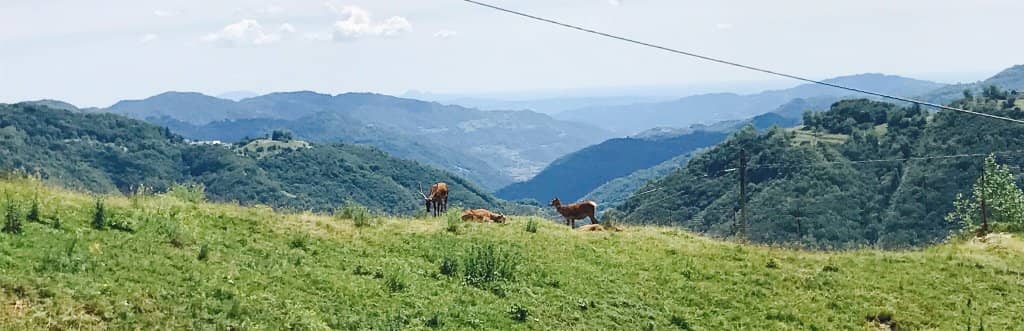 Panoramic Vistas
