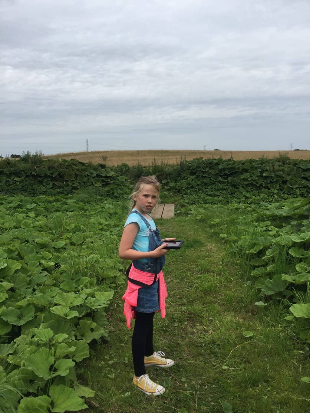 The 'Pragthjelm fra Lejre'