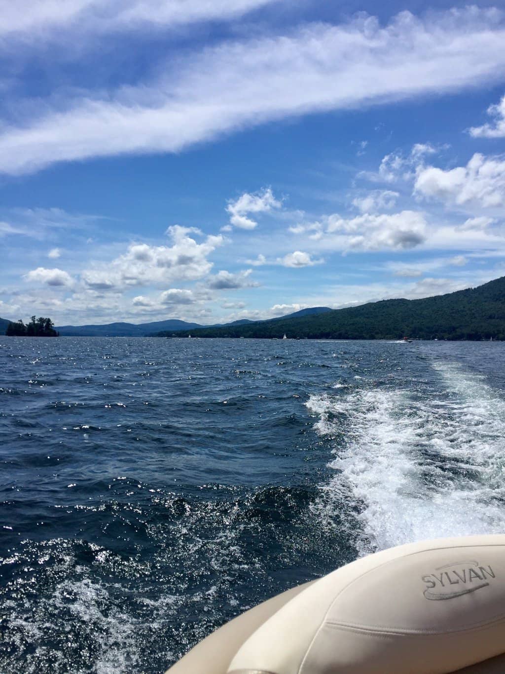 Seagull Feeding Adventure