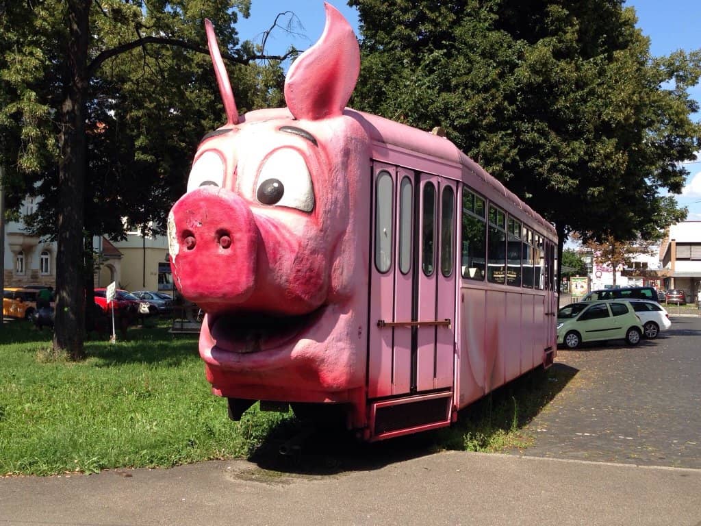 The World's Largest Pig Collection