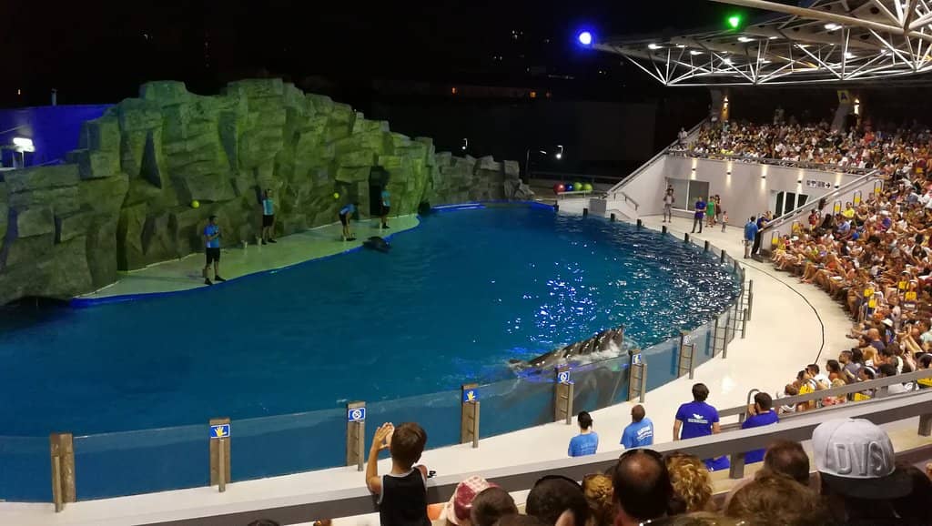 Family Entertainment