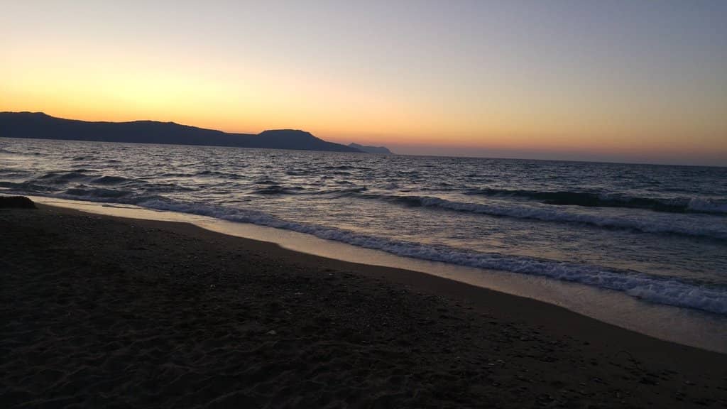 Loggerhead Turtle Nesting Site