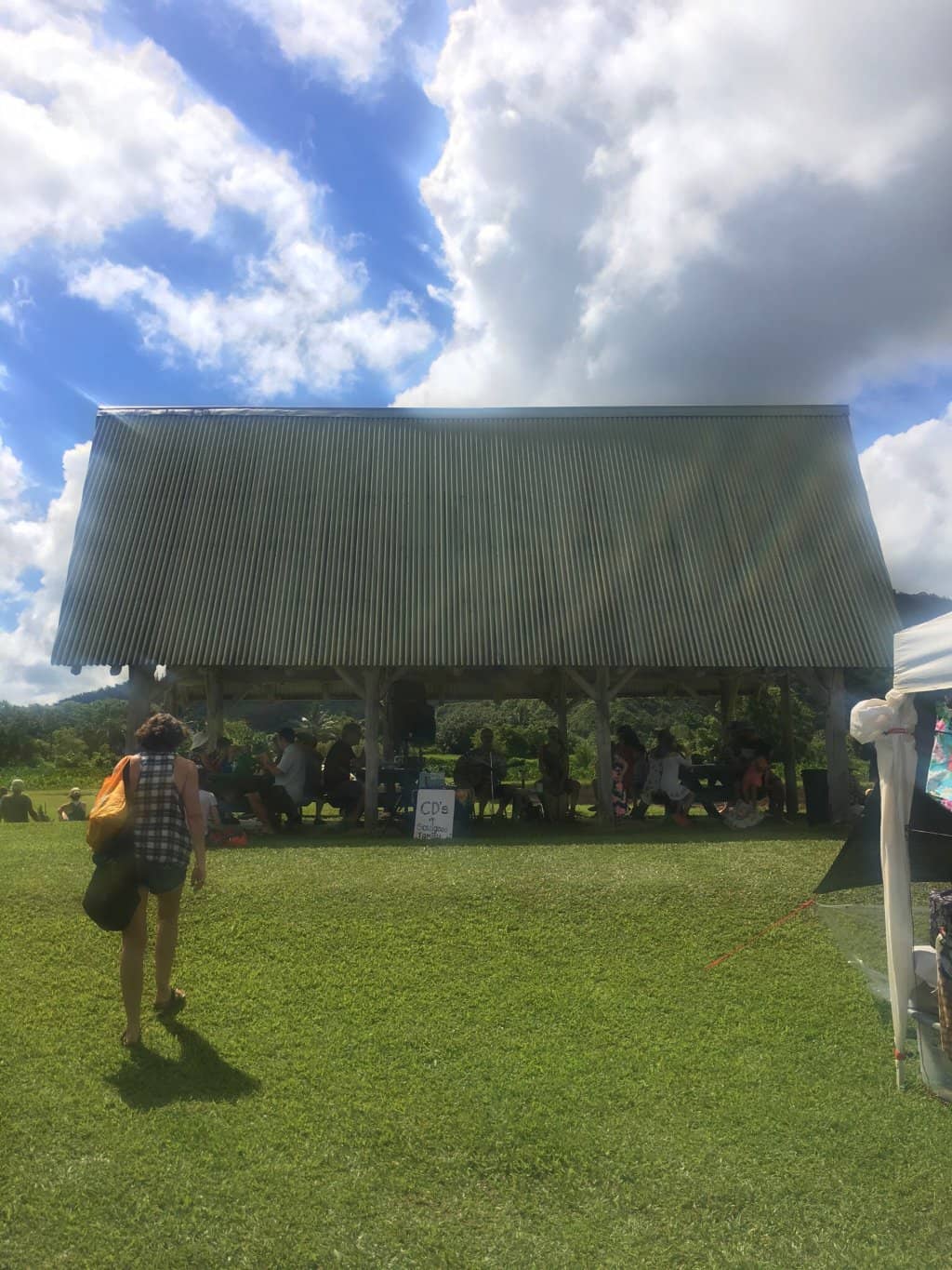 Exotic Tropical Fruits